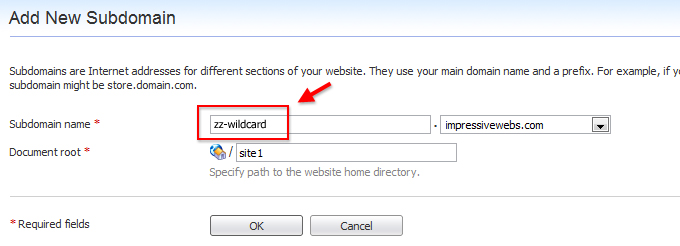 Choose a wildcard subdomain name