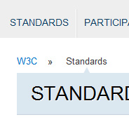 Should the Standard Property Be Omitted for Some CSS3 Features?