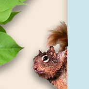 Replacing Subtle Flash Animations with CSS3